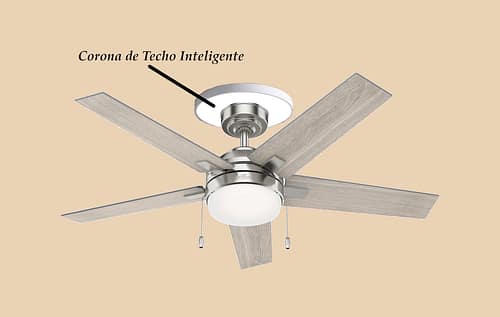 AroDeTechoInteligente